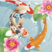 Koi fish pond - idle merge game img
