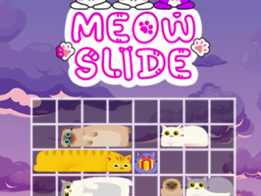 img Meow Slide